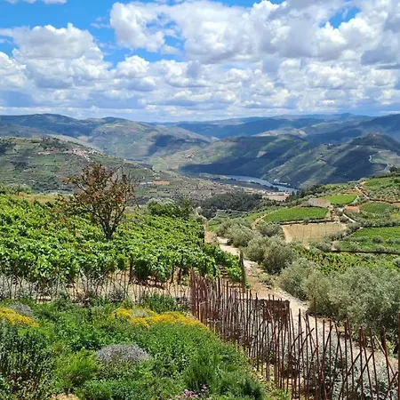 ヴィラ Casa De Pena D'aguia - Douro Encantado
