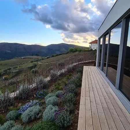 Casa De Pena D'aguia - Douro Encantado *