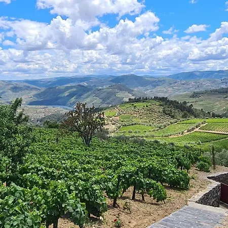 Casa De Pena D'aguia - Douro Encantado ヴィラ