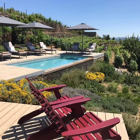 Casa De Pena D'aguia - Douro Encantado 别墅 Provesende
