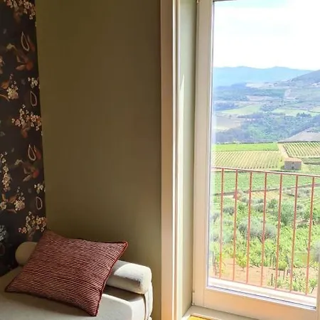 Casa De Pena D'aguia - Douro Encantado 别墅